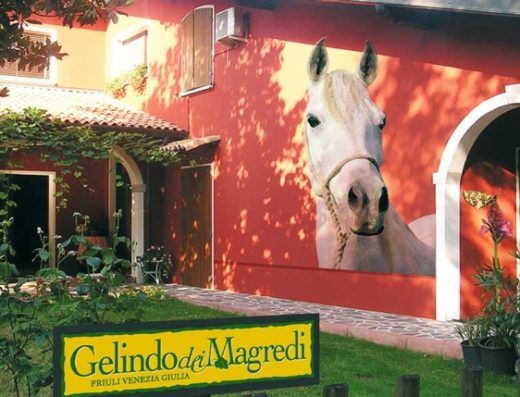 COUNTRY RESORT GELINDO DEI MAGREDI