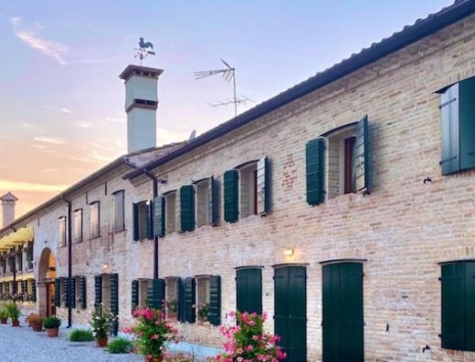IL CANTO DEL GALLO