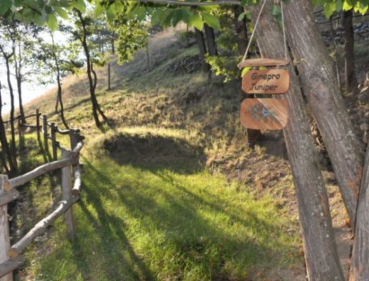 AGRICAMPEGGIO MAC A PE’