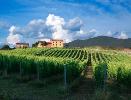 TENUTA GRIMALDI WINE RESORT