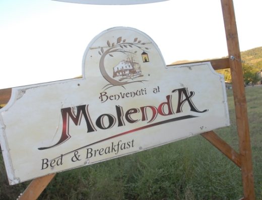 MOLENDA B&B