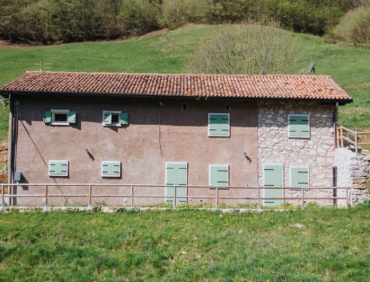 AGRITURISMO ANGELINO