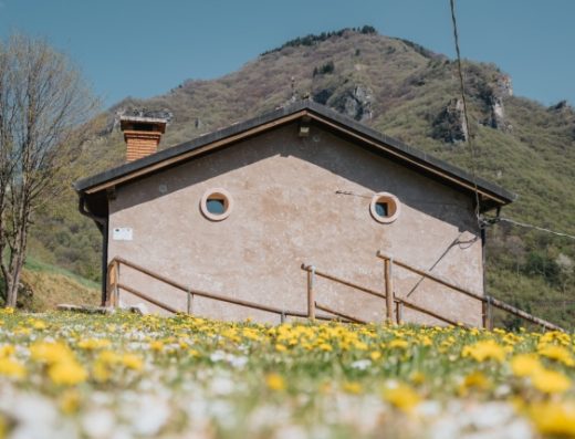 AGRITURISMO ANGELINO