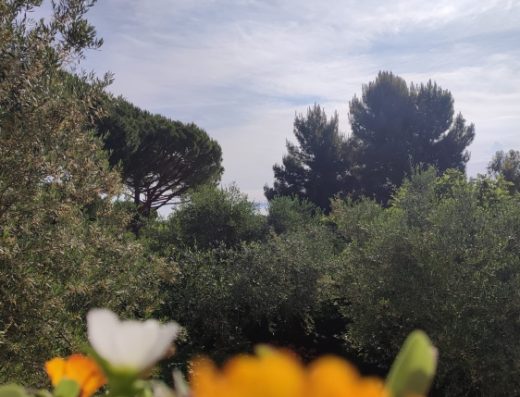 IL TERRAZZINO DI NEGRITA