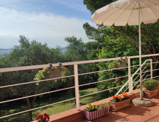 IL TERRAZZINO DI NEGRITA